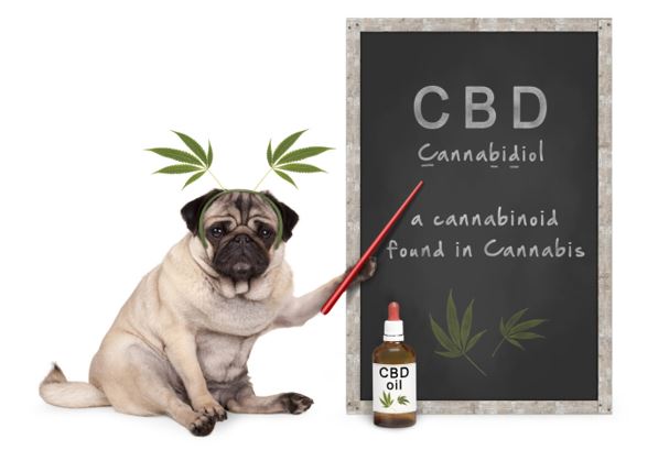 cbd1.JPG