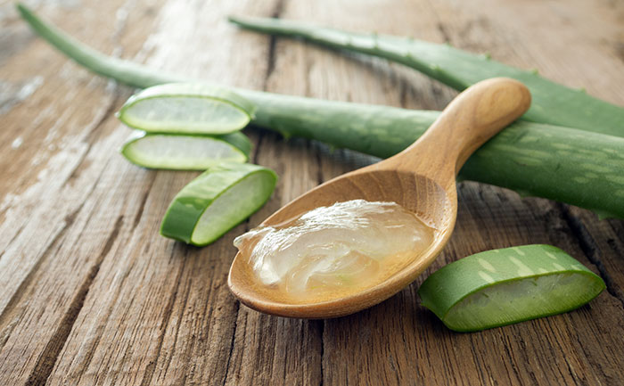 aloe1.jpg