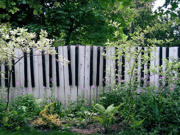 fence15.jpg