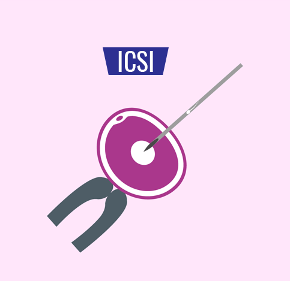 icsi.png